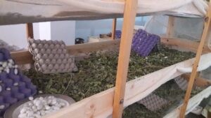 وادي الحرير