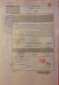 إقرار السيدة دينا رضا للتبرع بأعضائها بعد وفاتها