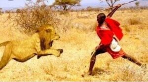 قتل أسد من أجل الموافقة على الزاوج من أغرب العادات في تنزانيا