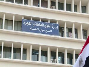 دار الإفتاء المصرية