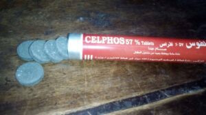 حبة الغلة كمبيد حشري