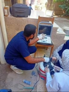 صور من الفحص