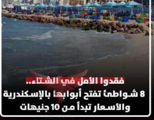 شواطئ الأكسندرية 