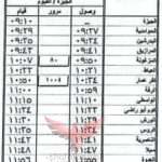 الجيزة/ الفيوم 142