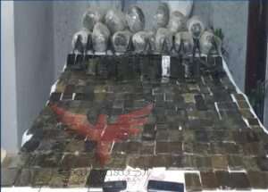 جهود قطاع الأمن العام 