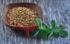 فوائد الحلبة وأهميتها .