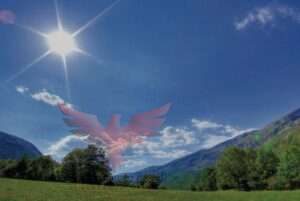 هيئة الأرصاد الجوية 