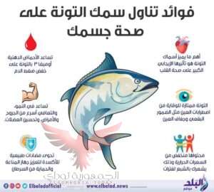فوائد سمك التونة
